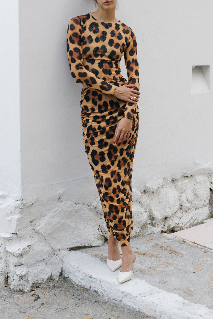 Top Leopardo
